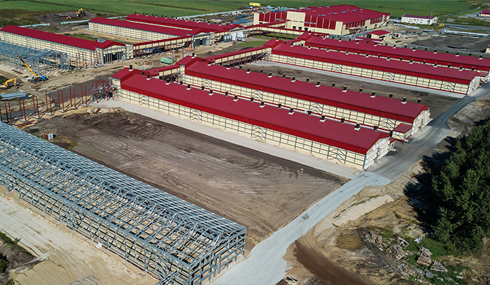 <span>ПТИЦЕФАБРИКА 31 000 м²</span>