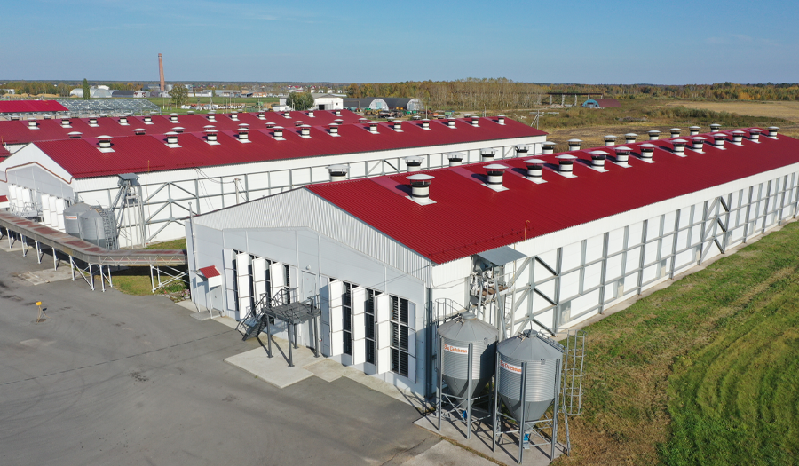 ПТИЦЕФАБРИКА 7 000 м²